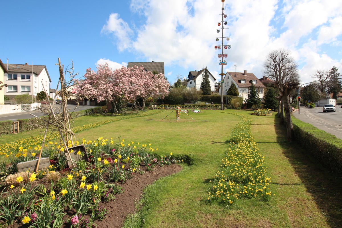Grünfläche in der Gemeinde Haibach mit Maibaum im Hintergrund